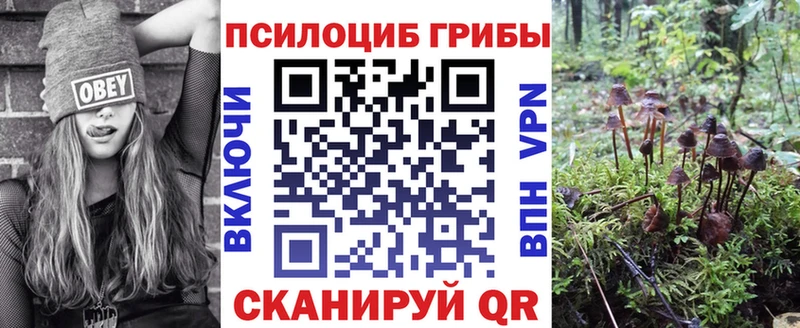 Галлюциногенные грибы Psilocybine cubensis что такое наркотик Гусев