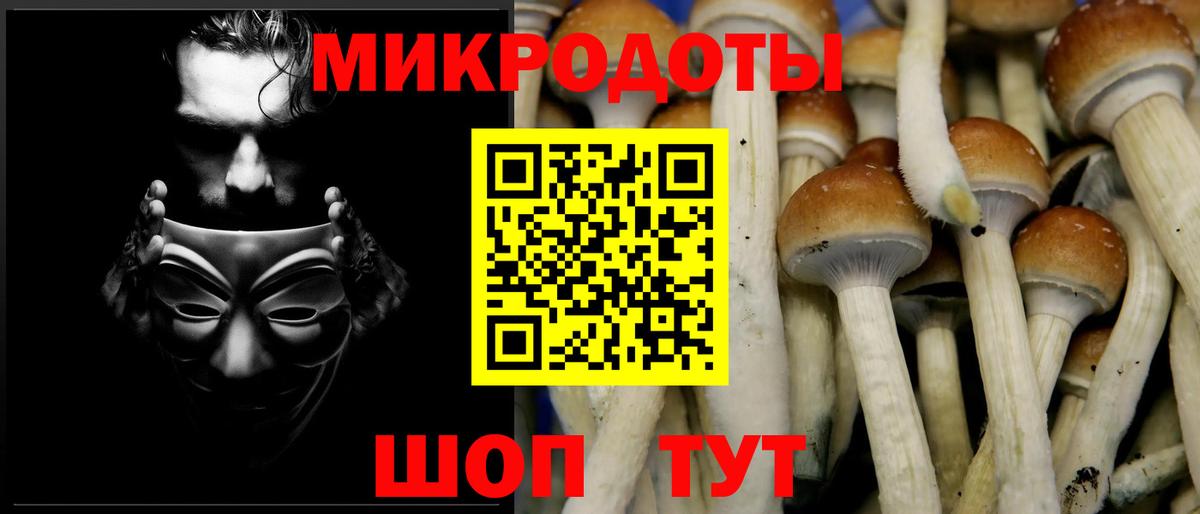 Гусев  Псилоцибиновые грибы мухоморы  Вход с VPN 